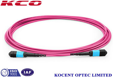 0.2dB Insertion Loss OM4 LSZH MPO MTP Trunk Cable 50/125 Multimode MPO MTP Patch Cord