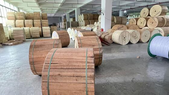  Central Loose Tube Armored GYXTW 6b1 SM Optic Fiber G652D Outdoor Cable