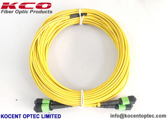 MPO APC 24fo 48cores G657A1 Elite Insertion Loss  MTP Fibra Optica Patch Cable