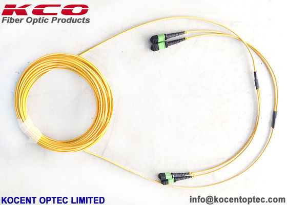 MPO APC 24fo 48cores G657A1 Elite Insertion Loss  MTP Fibra Optica Patch Cable
