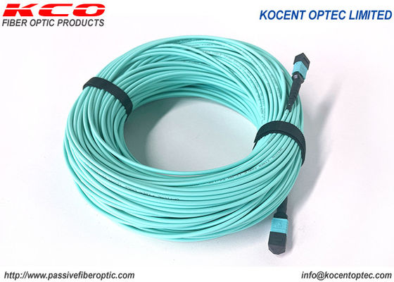 Elite 0.35dB 12fo LSZH MPO MTP Patch Cord OM3 OM4 50/125 MPO Fiber Patch Cable