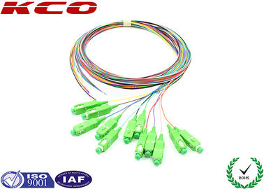 12 Cores LSZH SC/APC Fiber Optic Pigtail Single Mode Fiber Optic Patch Cord for Patch Panel