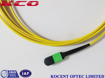 G657A LSZH PVC MPO MTP Patch Cord MPO Fiber Optic Patch Cable 8 Fiber 12 Core Fan Out FTTH 100G