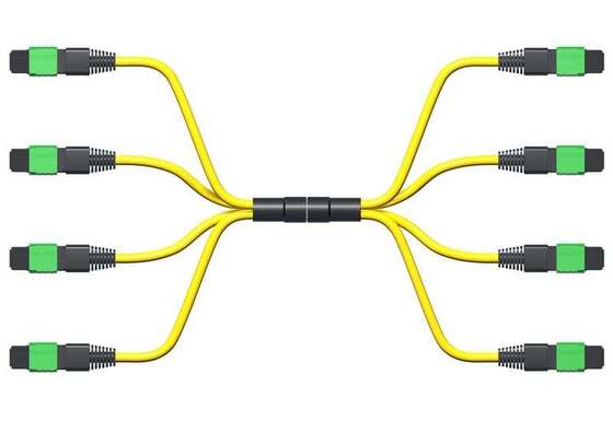 4*8F 4*12F 4*24F MPO MTP Patch Cord Single Mode G657A1 MPO APC Trunk Cable with Type A Type B Type C Polarity