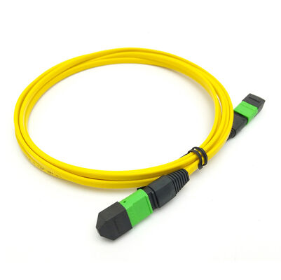 48 Fibers Ultra Low Loss MPO Trunk Cable Type A B C MTP Trunk Cable for 400G 800G Data Center