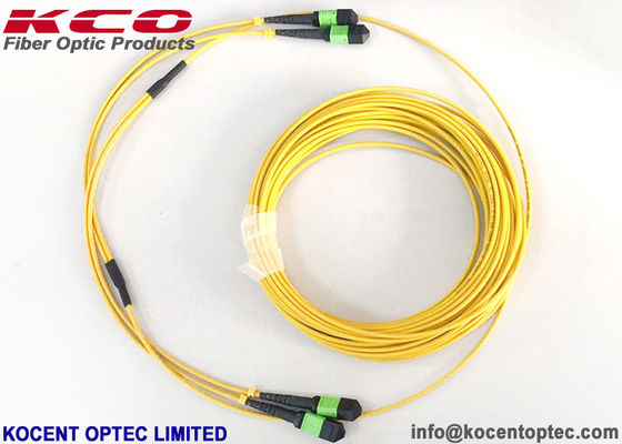 MPO APC 24fo 48cores G657A1 Elite Insertion Loss MTP ไฟเบอร์ออปติก้า